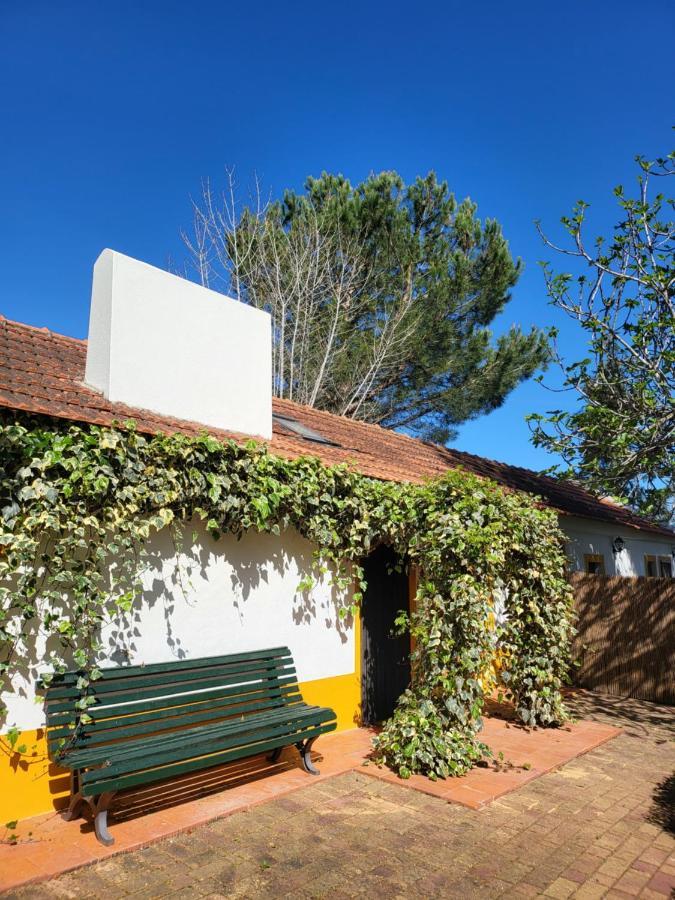 Hotel Quinta Da Mimosa Fajarda Exteriér fotografie