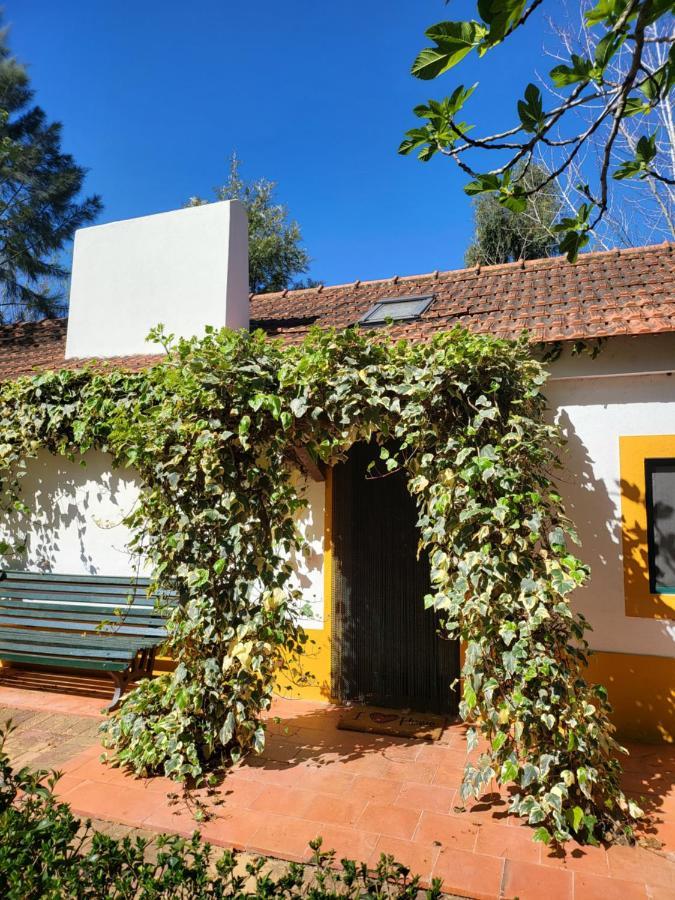 Hotel Quinta Da Mimosa Fajarda Exteriér fotografie